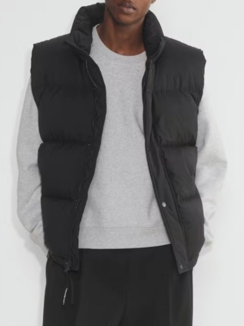 Aritzia The Super Puff Mens Vest